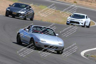 media/May-07-2022-Speed Ventures (Sat) [[e130248f08]]/Purple Group/2 purple 1140/